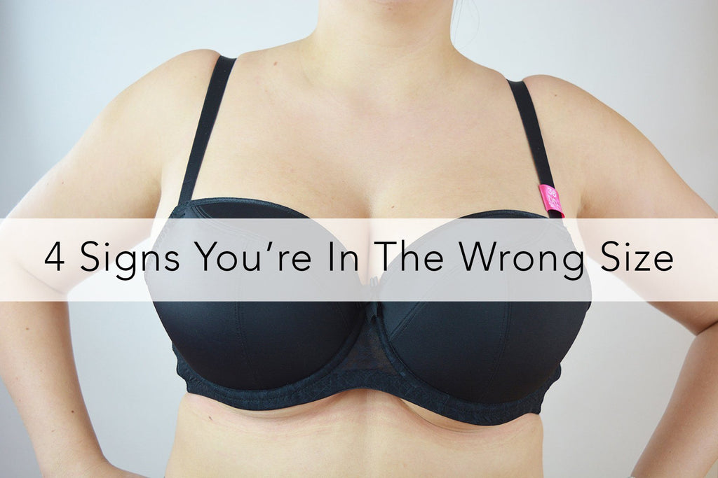 4 Signs You're Wearing the Wrong Bra Size - Curvy