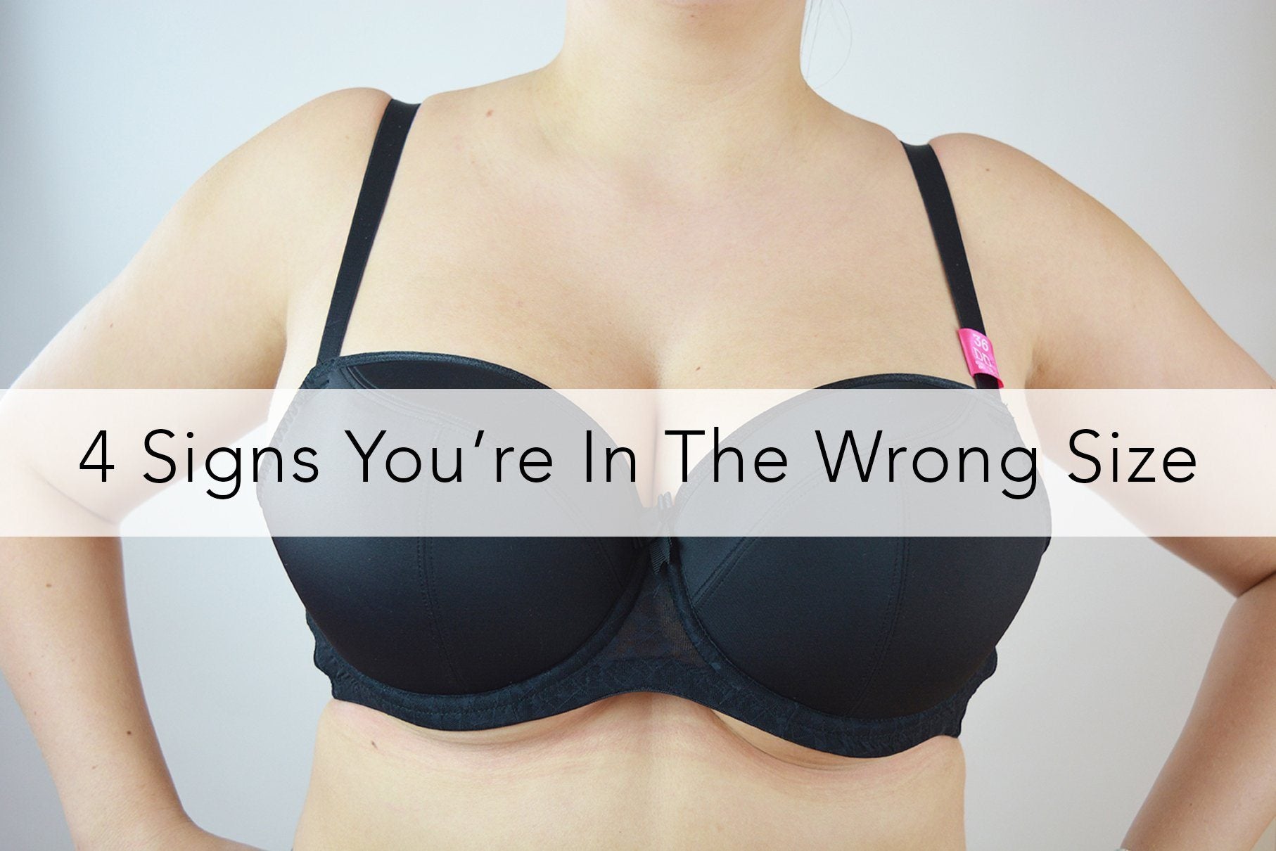 Wireless Vs. Underwire Bras: Pros & Cons of Each – Are Underwire Bras or  Wireless Bras Better? – ThirdLove