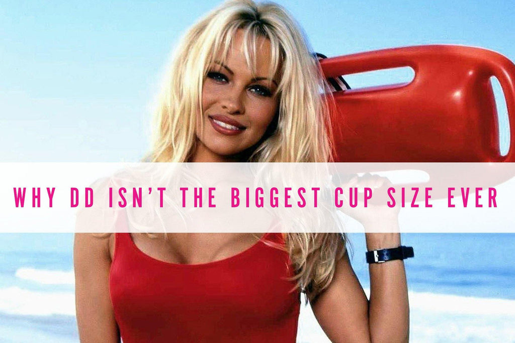 Why DD isn't the biggest size cup size ever. - Curvy