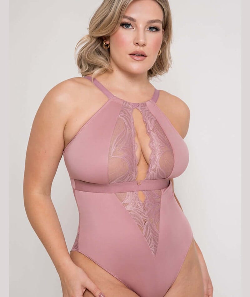 Scantilly Indulgence Stretch Lace Bodysuit - Dusty Rose Bodysuits & Basques 
