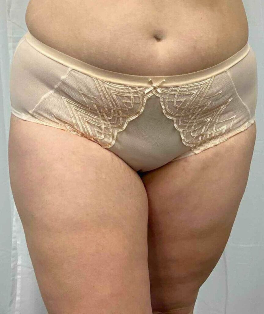 Ava & Audrey Lillian Embroidered Mesh Full Brief - Champagne Knickers 