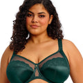 Elomi Cate Allure Underwired Bra - Deep Emerald
