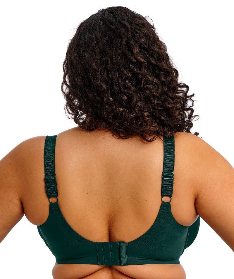 Elomi Cate Allure Underwired Bra - Deep Emerald Bras 