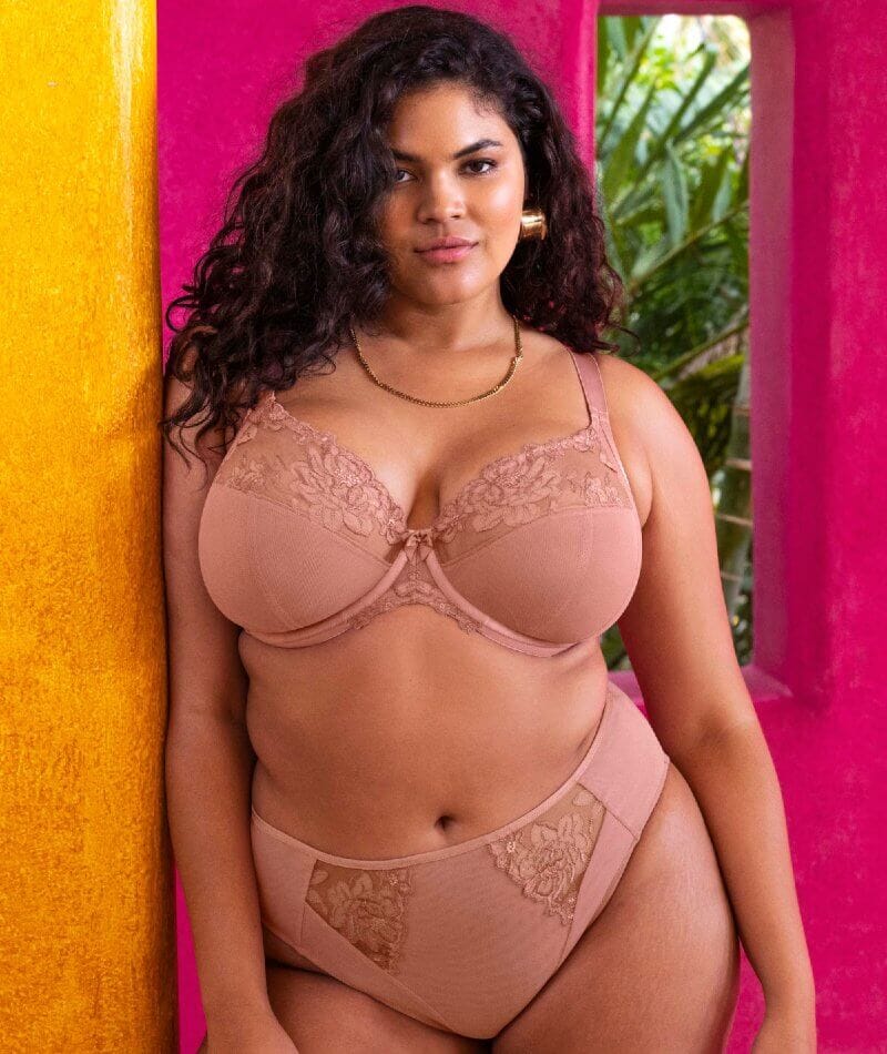 Elomi Teagan High Leg Brief - Ash Rose Knickers 