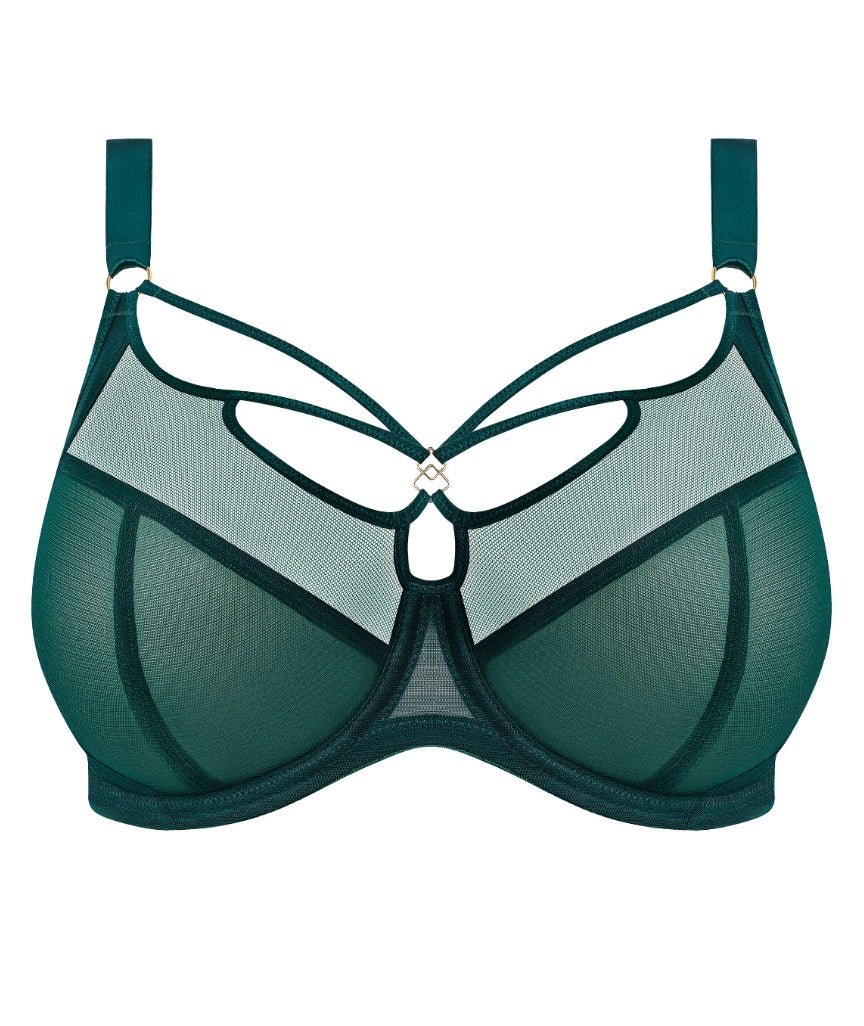 Elomi Sachi Underwired Plunge Bra - Deep Emerald