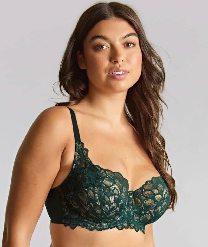 Panache Allure Underwired Full Cup Bra - Forest Green Bras 