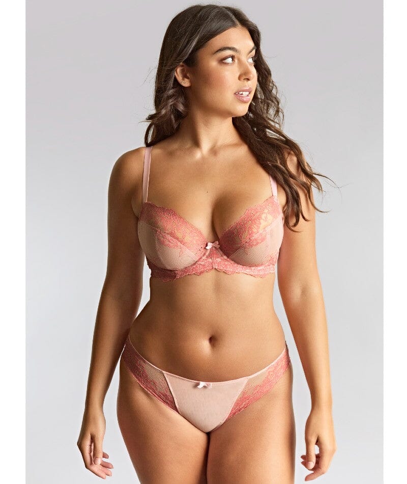 Panache Ana Underwired Plunge Bra - Pink Bras 