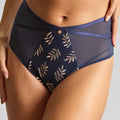 Panache Tango Deep Brief - Navy/Champagne