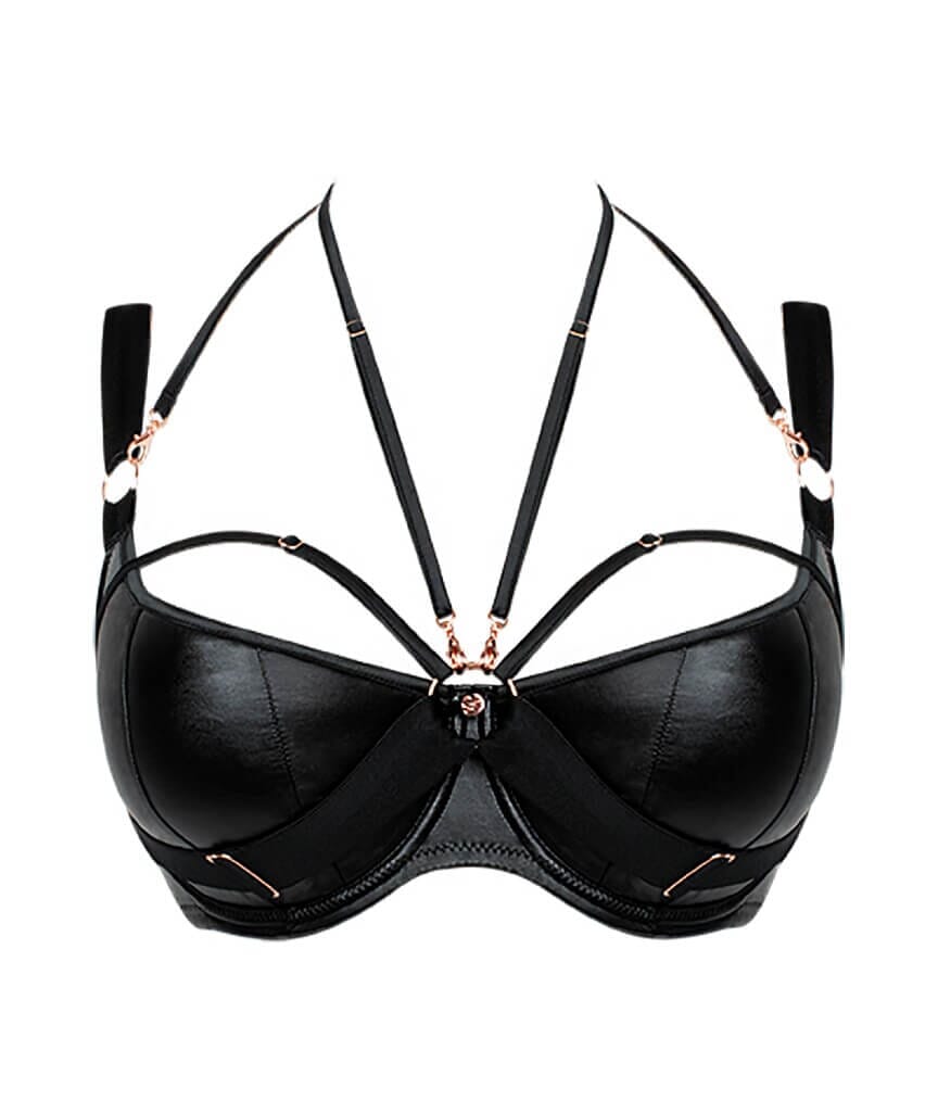 Scantilly Harnessed Padded Half Cup Bra - Black Bras 
