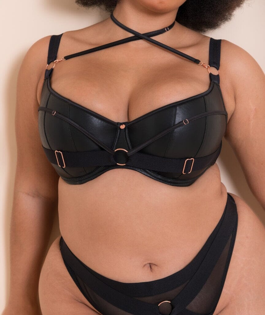 Scantilly Harnessed Padded Half Cup Bra - Black Bras 