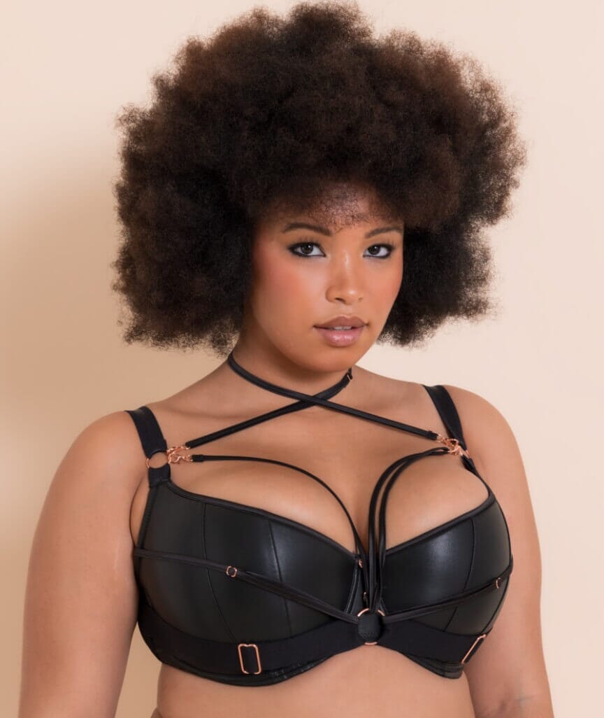 Scantilly Harnessed Padded Half Cup Bra - Black Bras 