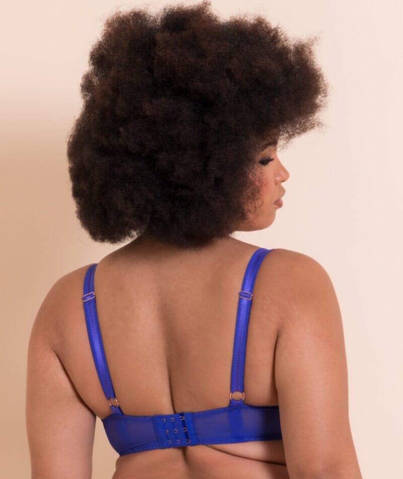 Scantilly Ornate Balcony Bra - Ultraviolet Blue Bras 