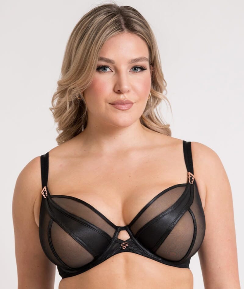 Scantilly Suspense Plunge Bra - Black Bras 