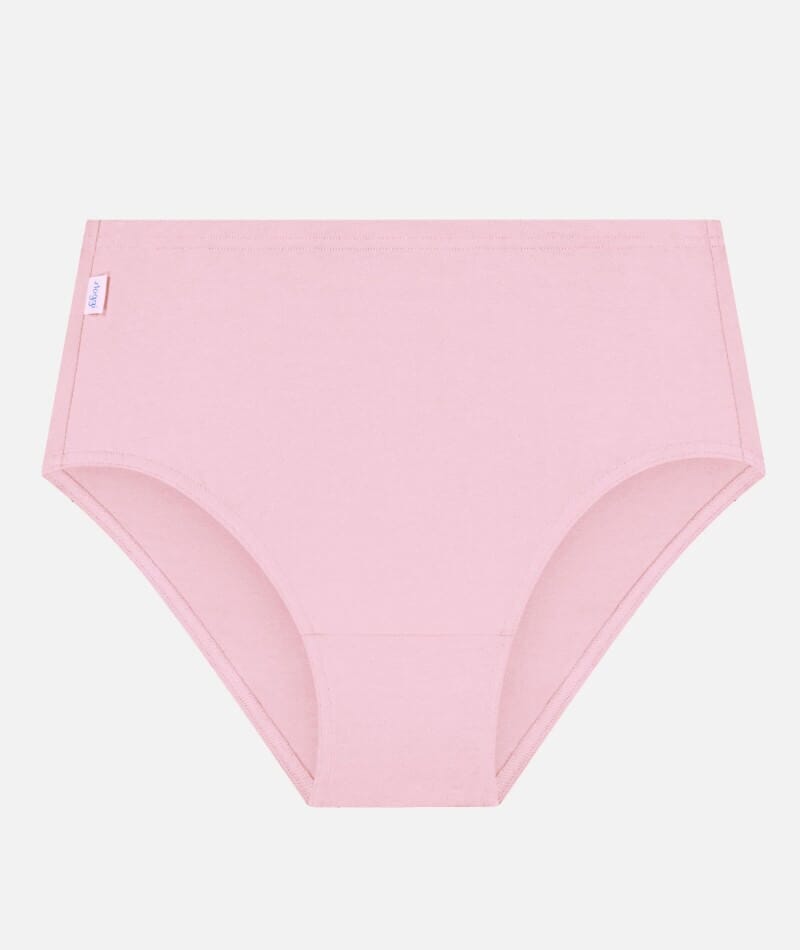 Sloggi Hikini 2 Pack Brief - Crocus/Opale Knickers 