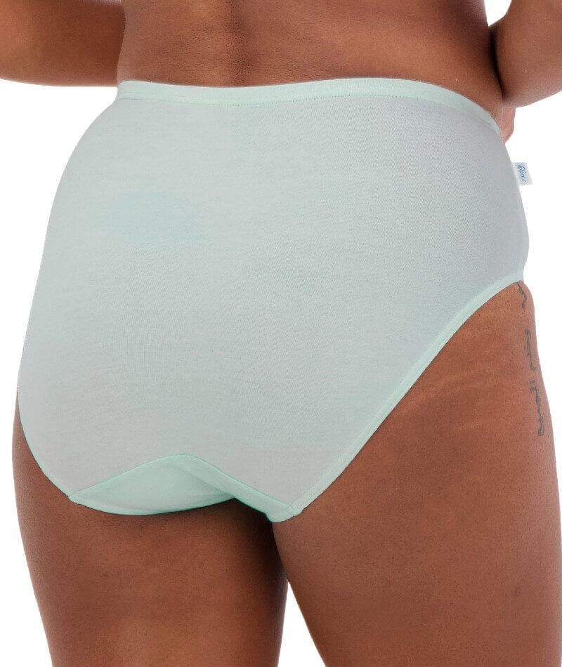 Sloggi Hikini 2 Pack Brief - Crocus/Opale Knickers 