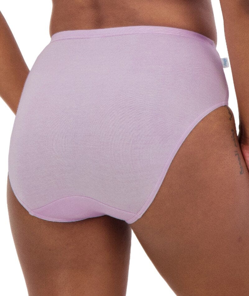Sloggi Hikini 2 Pack Brief - Crocus/Opale Knickers 