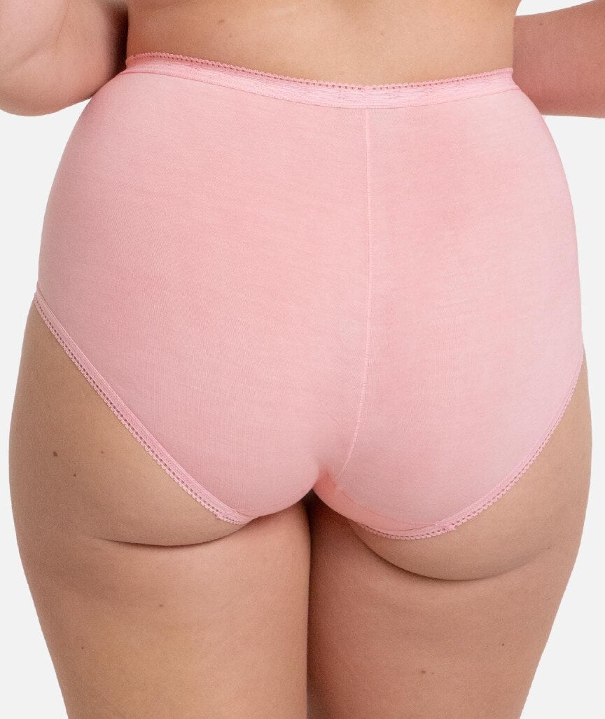 Sloggi Maxi Brief 2 Pack - Strawberry Cream/Flower Purple