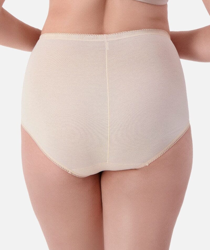 Sloggi Maxi Brief 2 Pack - Fresh Powder Knickers 