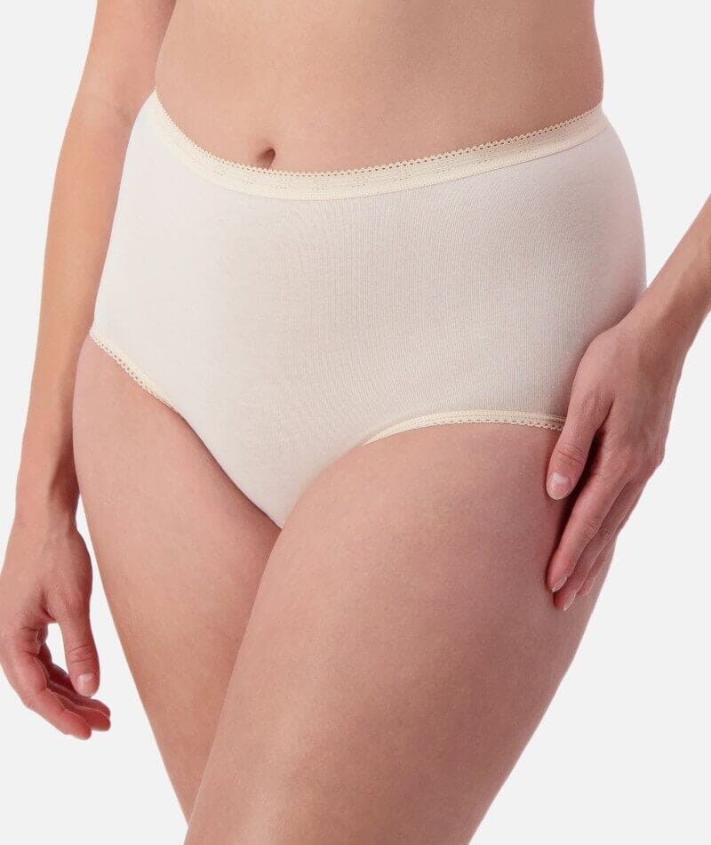 Sloggi Maxi Brief 2 Pack - Fresh Powder Knickers 