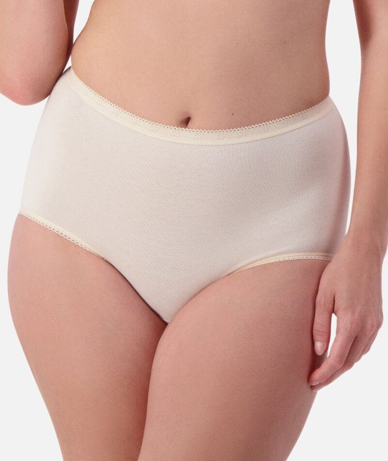 Sloggi Maxi Brief 2 Pack - Fresh Powder Knickers 