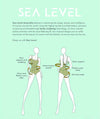 Sea Level Essentials Spliced B-D Cup One Piece Swimsuit - Black Swim