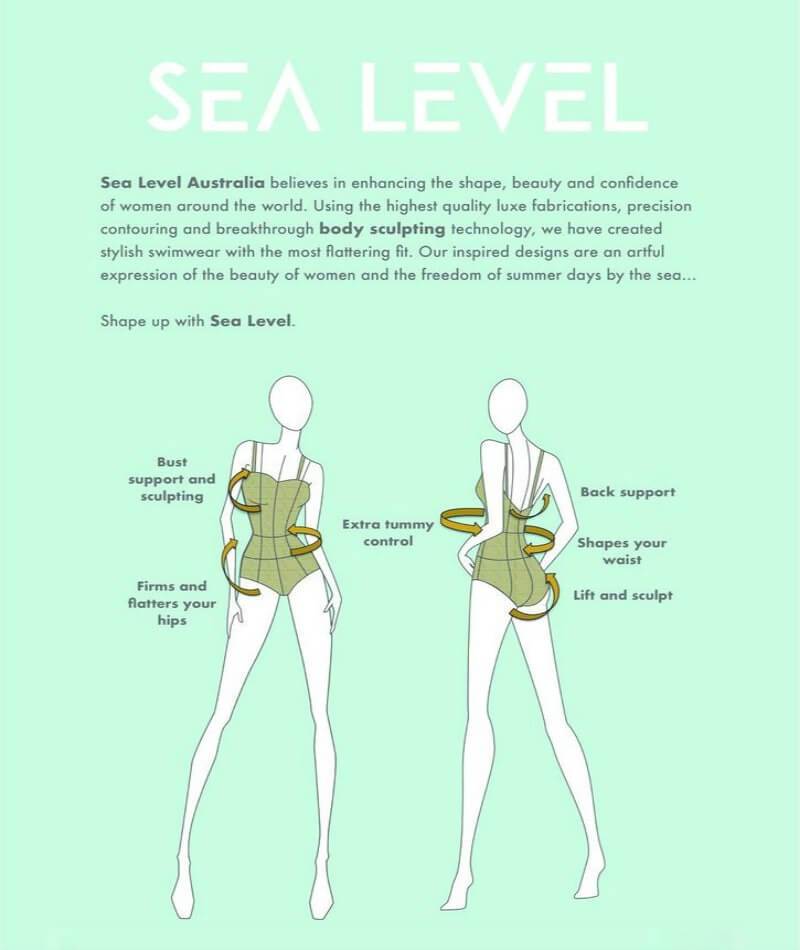 Sea Level Essentials Spliced B-D Cup One Piece Swimsuit - Black Swim 
