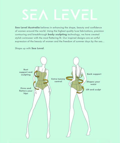 Sea Level Essentials Spliced B-D Cup One Piece Swimsuit - Black Swim