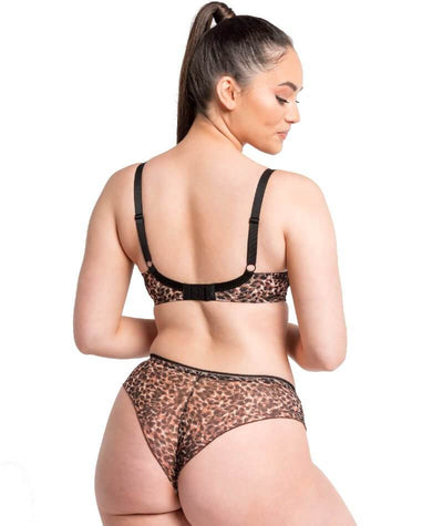 Curvy Kate Lifestyle Short - Animal Print Knickers