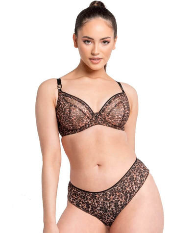 Curvy Kate Lifestyle Short - Animal Print Knickers