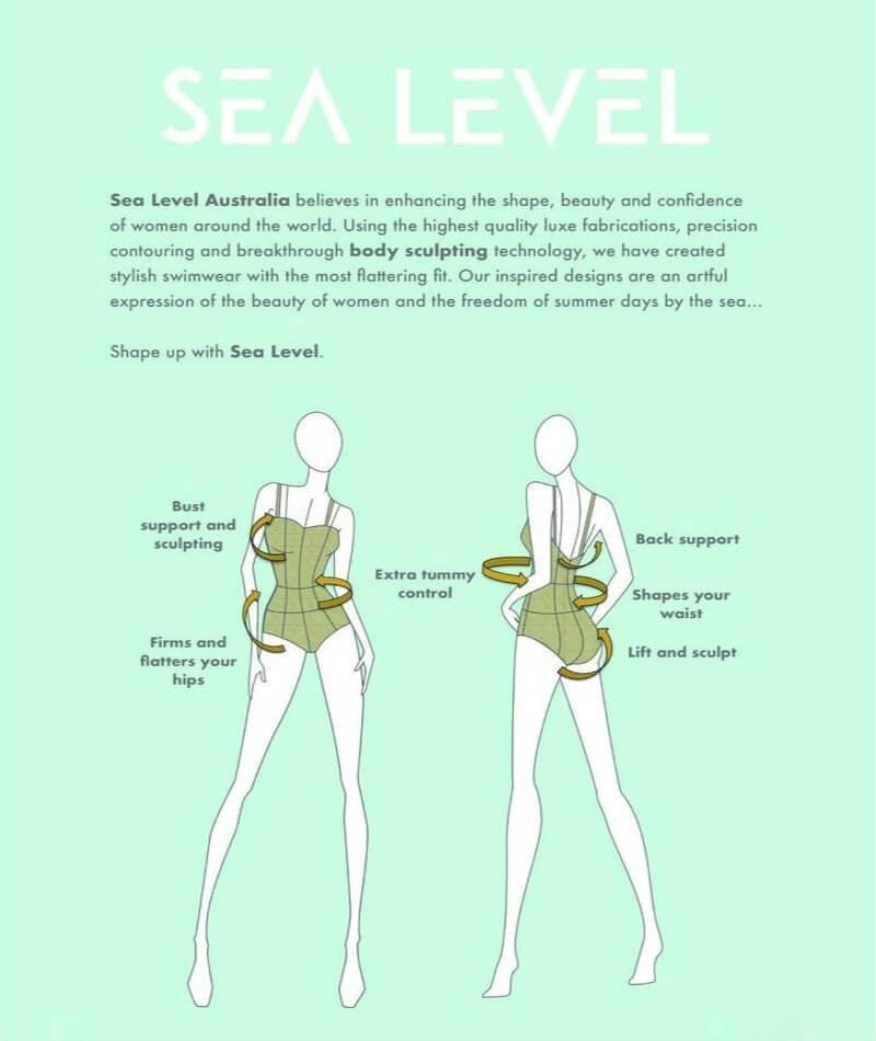 Sea Level Essentials Long Sleeve B-DD Cup One Piece Swimsuit - Black Swim 
