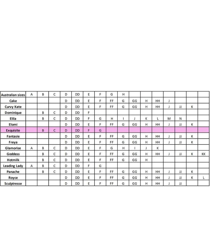 Exquisite Form Fully Front Close Posture Bra With Lace - White Bras 