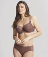 Panache Envy Full Cup Underwire Bra - Chestnut Bras