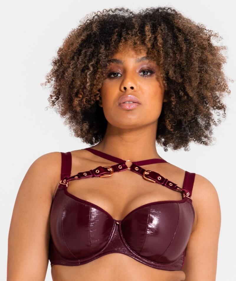 Scantilly Buckle Up Padded Half Cup Bra - Oxblood - Curvy