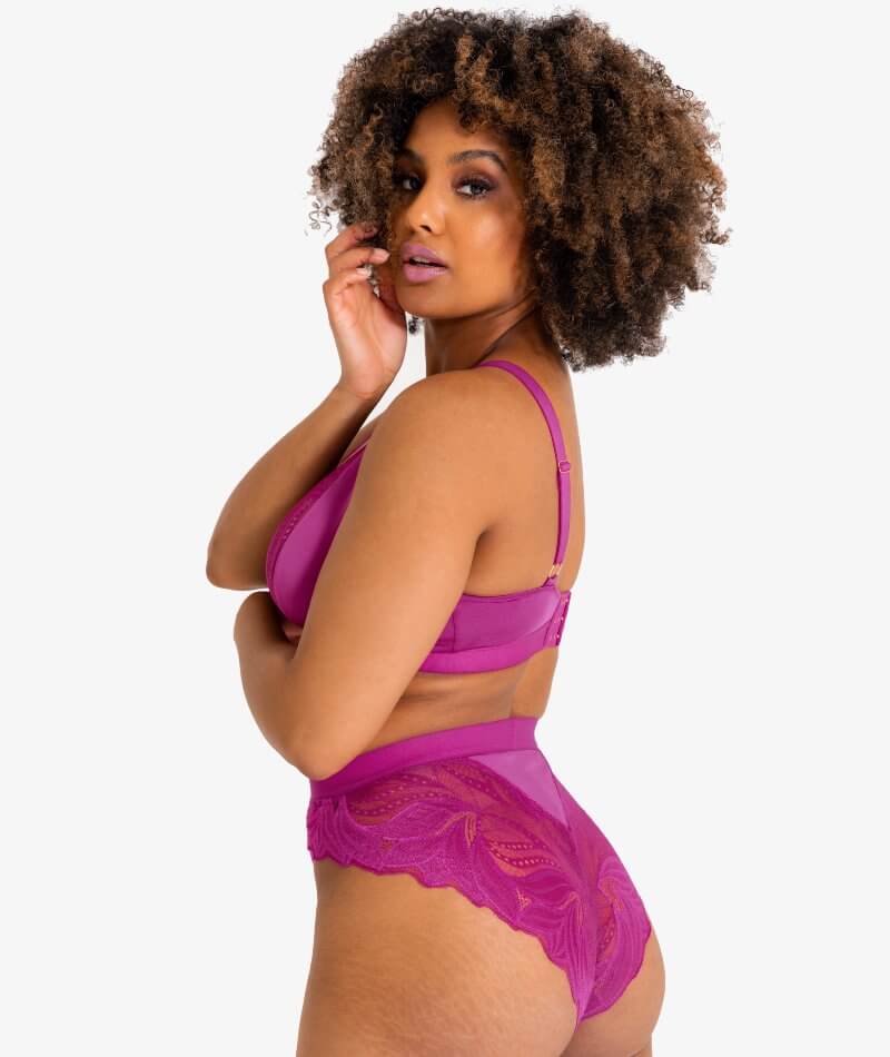 Scantilly Indulgence Bralette - Orchid/Latte Bras 