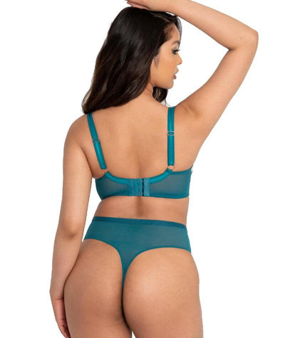 Scantilly Sex Education High Waist Thong - Teal Knickers
